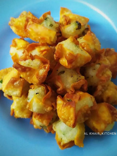 Foto resep Pangsit Isi Cireng Nasi
