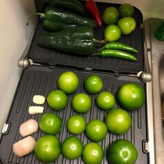 A picture of Homemade Salsa Roja.
