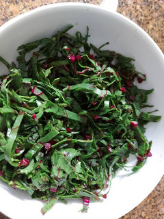 Foto de Salada de folhas de beterraba
