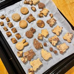 A picture of cookies Egg-free English.