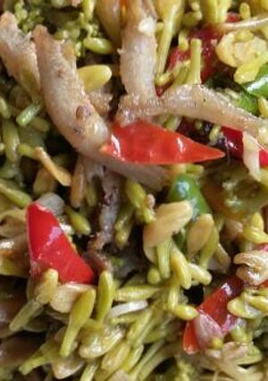 Foto resep Tumis Kembang pepaya