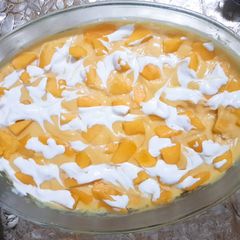 A picture of Mango Souffle.