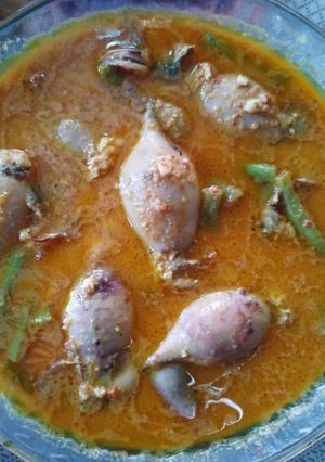 Foto resep Gulai cumi isi tahu