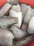 Tips : Cuci dan simpan Ikan Sepat