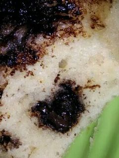 Foto resep Bolu Kukus Simple