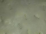Tarta de zapallitos