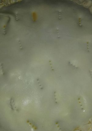 Una foto de Tarta de zapallitos