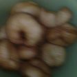 Donat empuk resep dr Ibuku ☺
