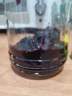 Foto resep 🫐 Selai Blueberry Frozen (Homemade)