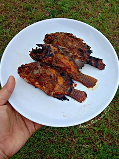 Foto resep Ikan Bakar Bumbu Kacang