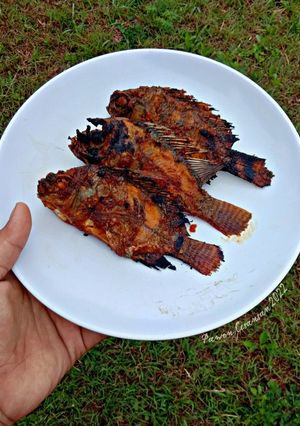 Foto resep Ikan Bakar Bumbu Kacang