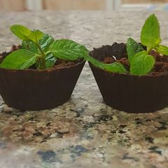 A picture of Easypeasy simple and quick chocolate cup.