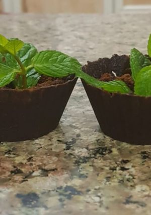 A picture of Easypeasy simple and quick chocolate cup.