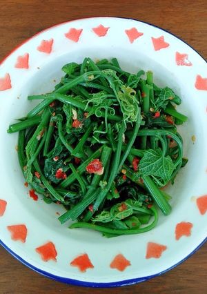 Foto resep Plecing Pucuk Labu