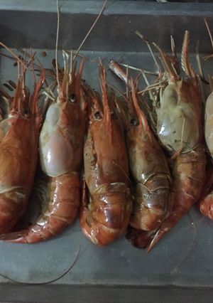รูปของ กุ้งอบเนย