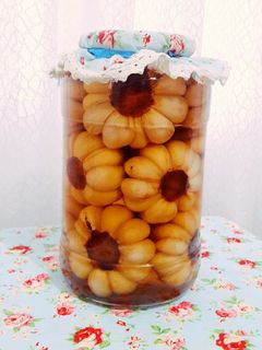 عکسی از دستور سیرترشی خوشگل