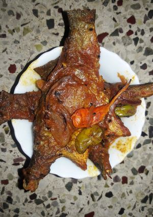 A picture of Bhetki kalia.