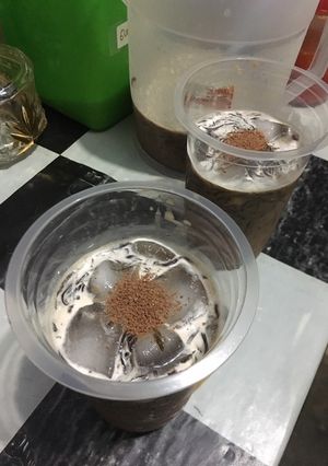 Foto resep Es Cappuccino Cincau