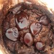 Brownie saludable y rápido en taza