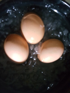 Foto resep Boiled egg / telur rebus #Cookpad_Ketopad #KetopadTelurRebus