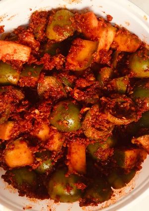 ગુંદા કેરી નું ઇન્સ્ટન્ટ અથાણું (Gunda Keri Instant Athanu Recipe In Gujarati) રેસીપી મુખ્ય ફોટો