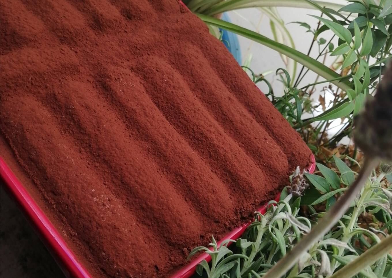Simply tiramisu pour débutante