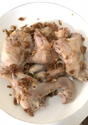 Foto resep Ayam rebus pek cam kee