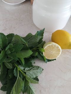 Mentás citromfű tea recept fotója