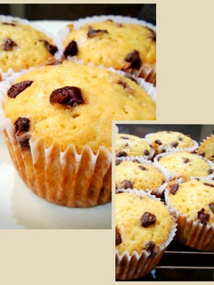 Foto resep Chocolate Chips Muffins