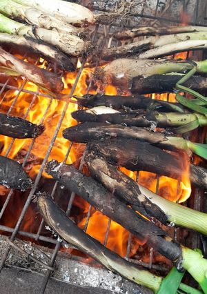 Foto principal de Calçot