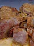 Codillo en salsa de mostaza
