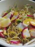 Lentil Sprout Salad with Radish and Honey Mustard