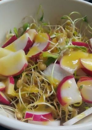 A picture of Lentil Sprout Salad with Radish and Honey Mustard.