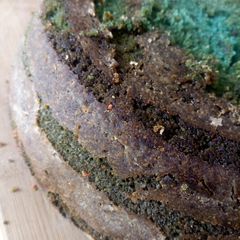 A picture of Purple velvet cake.