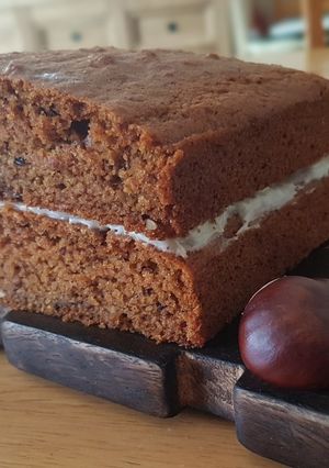 A picture of Carrot-Apple-cinnamon eggless cake.