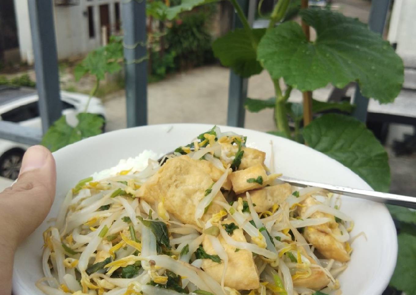 Tumis tahu & tauge