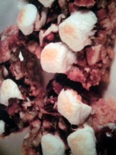 A picture of S'mores Bars.