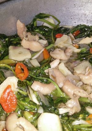 Foto resep Cah Kangkung Ayam Saos Tiram