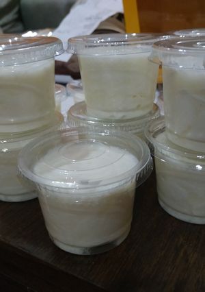 Foto resep Yogurt Plain