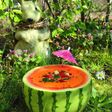 🍉 GAZPACHO DE Sandía 🍉