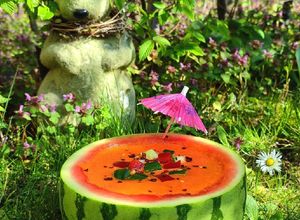 Una foto de 🍉 GAZPACHO DE Sandía 🍉
