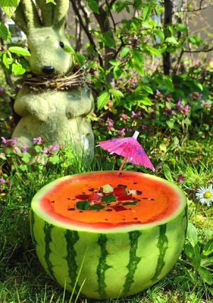 Una foto de 🍉 GAZPACHO DE Sandía 🍉
