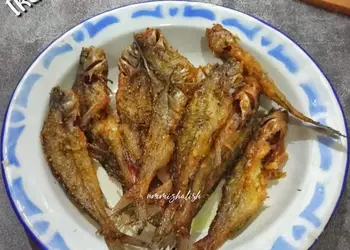 Mudah Cepat Memasak Ikan Keting/ Lundu Goreng Enak Sederhana