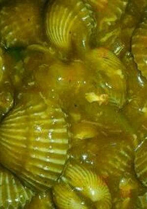 Foto resep Kerang dara saus asam manis pedas