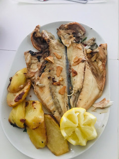 Una foto de Dorada a la espalda