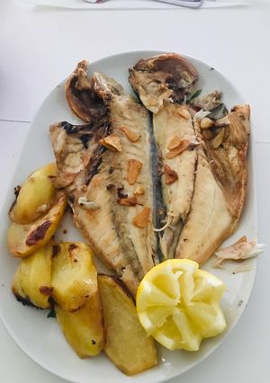 Una foto de Dorada a la espalda