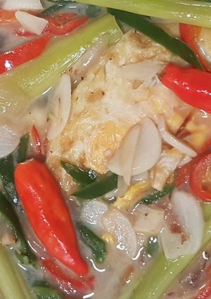 Foto resep Telor Ceplok Santan