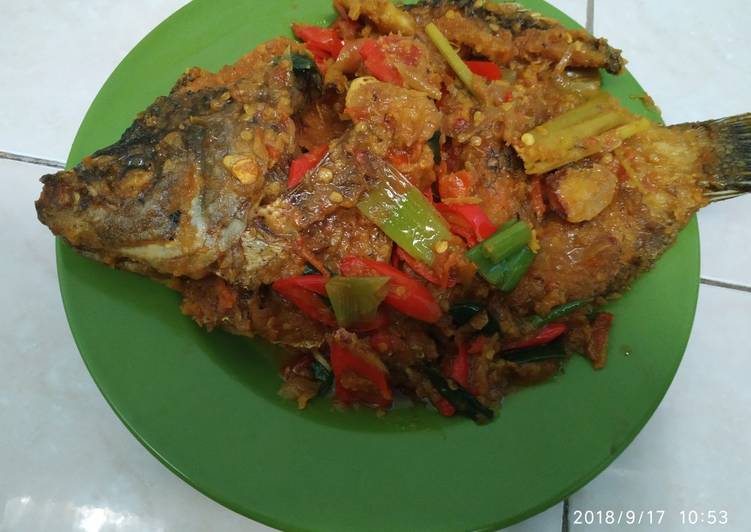 Pasmol gurame ala alaπ
π