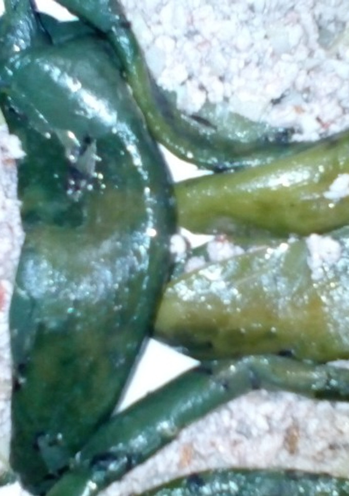 Una foto de Chiles rellenos