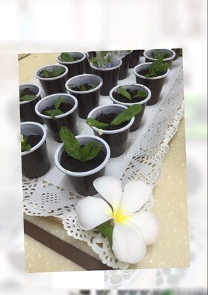 صورة لوصفة حلى الشتلات🌿